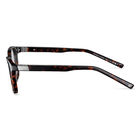 JASP 02, Havana Shiny-, hi-res image number null